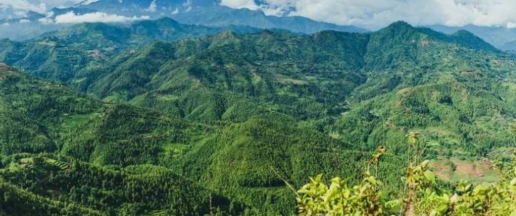 Principal Chief Conservator of Forests inspects CAMPA works in Samba, Kathua Districts