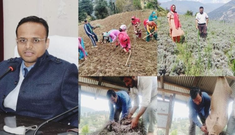 Boost in Lavender production makes ‘Atmanirbhar Bharat’ a reality in Doda