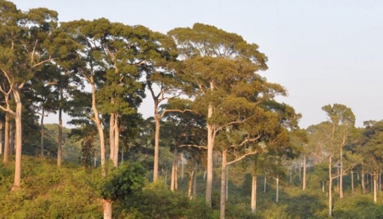J&K Social Forestry Deptt hosts workshop on ‘People’s Forestry for Livelihood & Environmental Benefits’