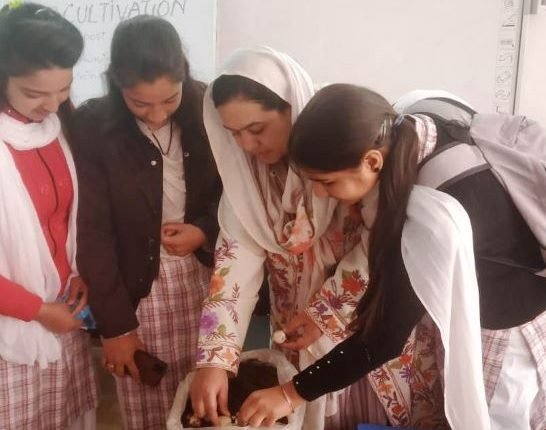 DSEJ holds Workshop on Mushroom Cultivation at GGHSS Kishtwar