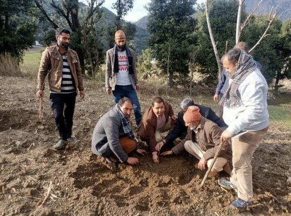 Dir Horticulture inspects activities of the department in Kishtwar district