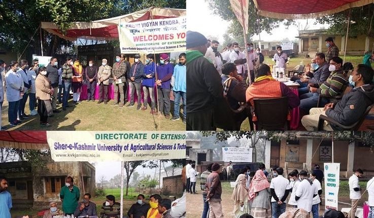 Krishi Vigyan Kendra Jammu organises animal medical camp at Hassarwan