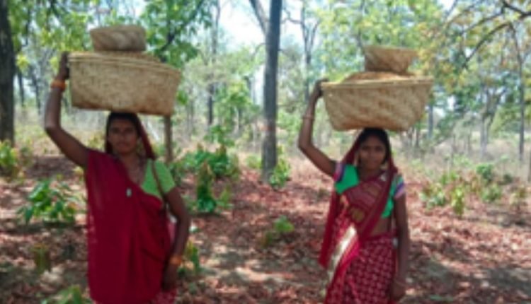 Inclusion of 14 New Minor Forest produce items under the Mechanism for Marketing through MSP scheme