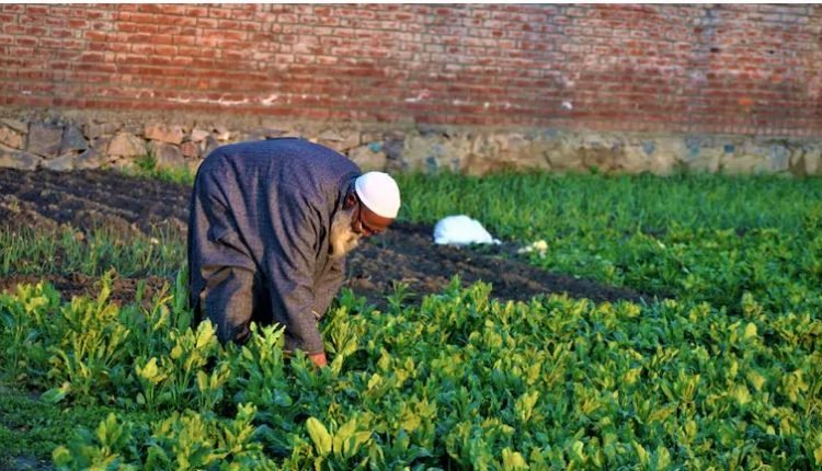 Horticulture dept Bla kick starts activities in 19 Zones