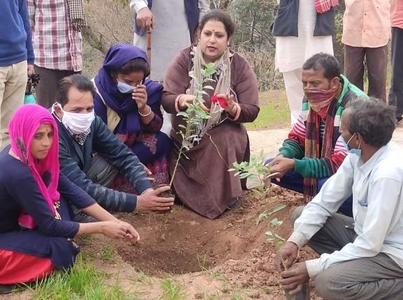 IWMP conducts plantation drive at Prowa Jagir Watershed