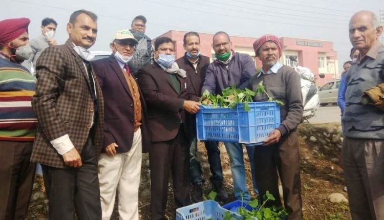 SKUAST-Jammu celebrates Vegetable-Day