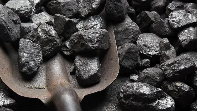 Coal production in country during the last five years : GOI