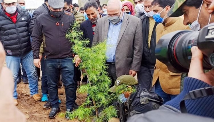 VC Central University launches plantation drive within Tulmulla Campus