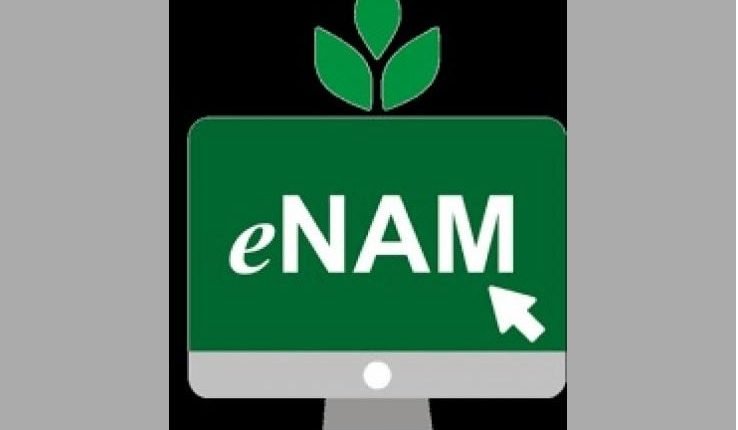 Agricultural commodities shortly being traded through E-NAM platform