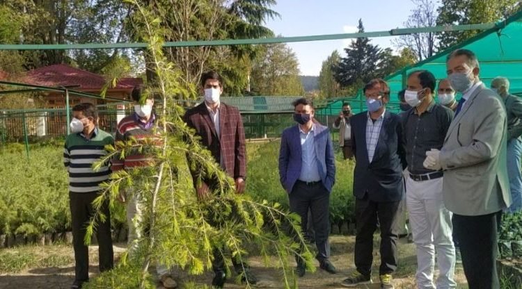 APCCF Kashmir Farooq Gillani reviews forest works of North Kashmir