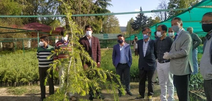 APCCF Kashmir Farooq Gillani reviews forest works of North Kashmir