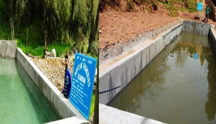 Five trout fish farming units established in Ramban District