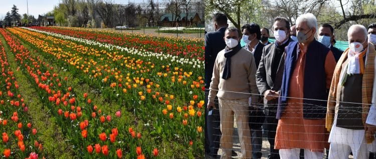 Lt Governor inaugurates Tulip Festival at Asia's largest Tulip Garden in Srinagar