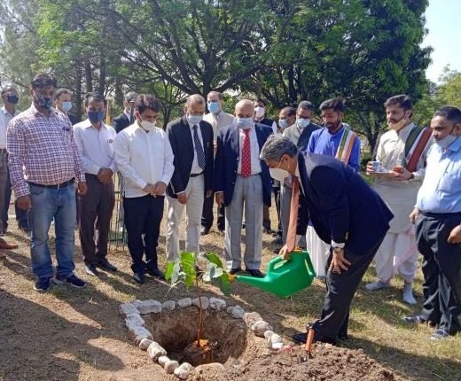 “Peepal Tree” plantation drive held in High Court premises