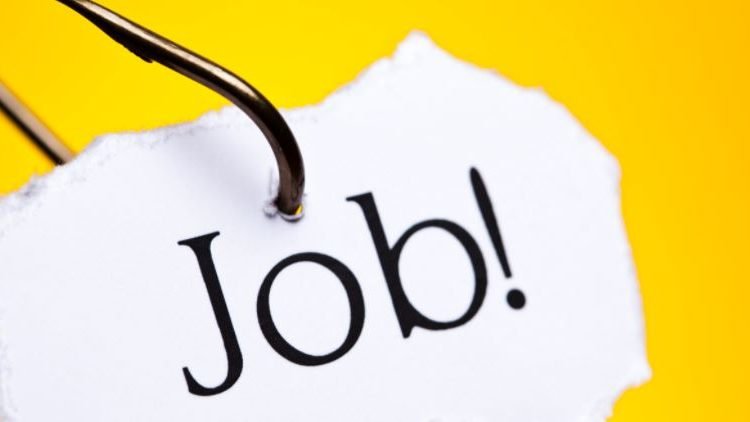 110 Accounts Posts created in Revenue Department