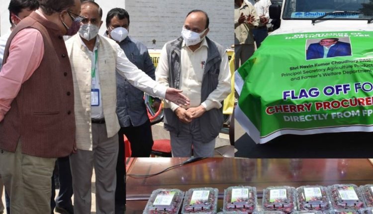 Navin Choudhary flags off vans carrying cherry fruit produce for airlifting