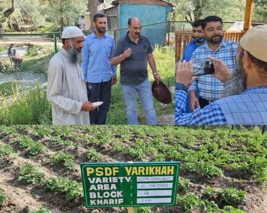 Director Agriculture Kashmir visits Potato SMF Yarikah, Tangmarg