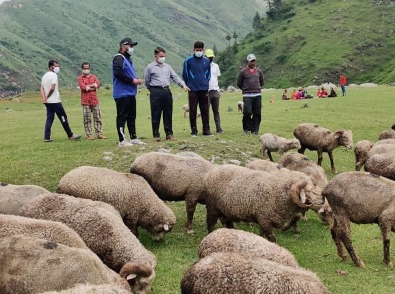 Director SHD inspects departmental activities in Doda, Kishtwar Districts