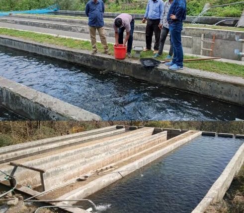 Promoting Fish Farming ; Fisheries Deptt initiates Trout Fish Breeding in Gool