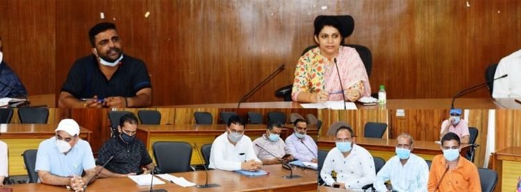 Udhampur DDC Vice Chairperson reviews progress on road projects