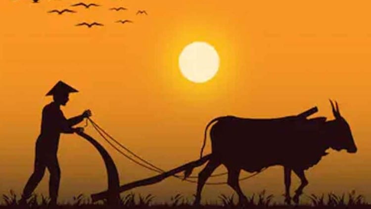 With an outlay of Rs. 5013 crores over the next five years under the newly approved Holistic Development of Agriculture