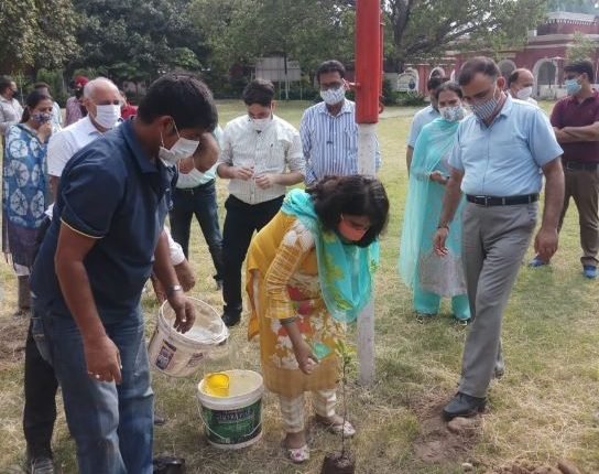 Plantation Drive conducted across all 59 Treasuries of Jammu Province under the Go Green Campaign