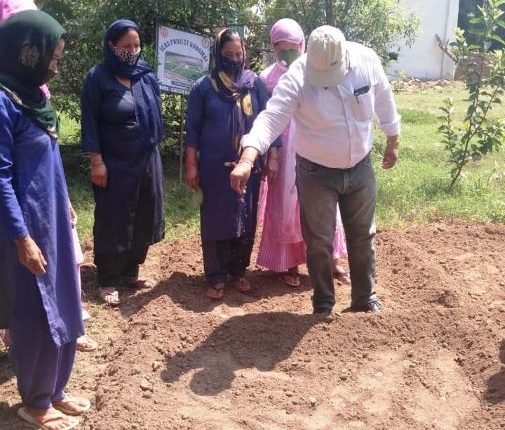 Demonstration cum Promotion of Nutri Garden organised at block Ghagwal