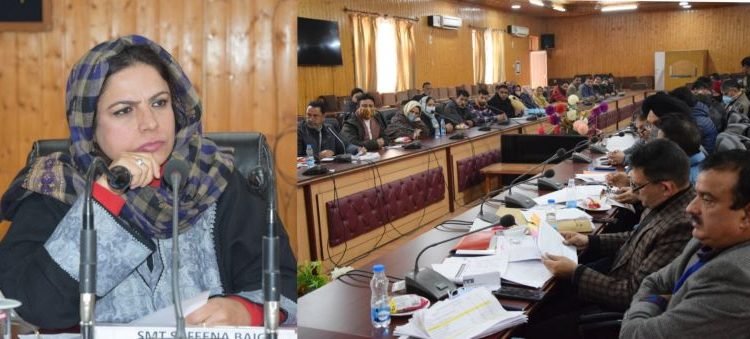 DDC Chairperson B'la takes holistic review of developmental works under ADP