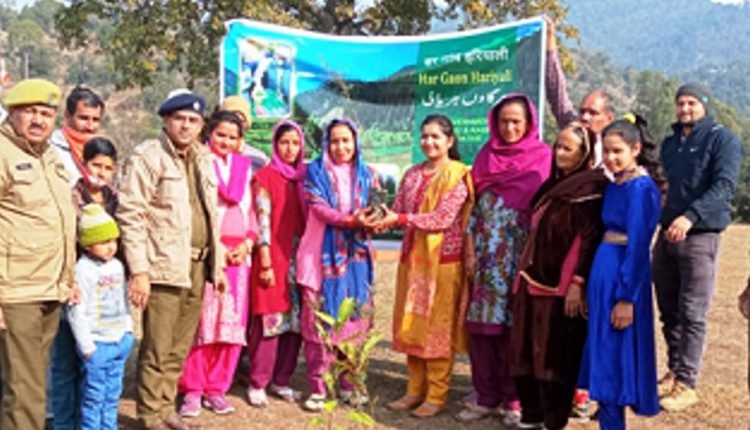 Series of plantation drives conducted in Sunderbani Forest Range