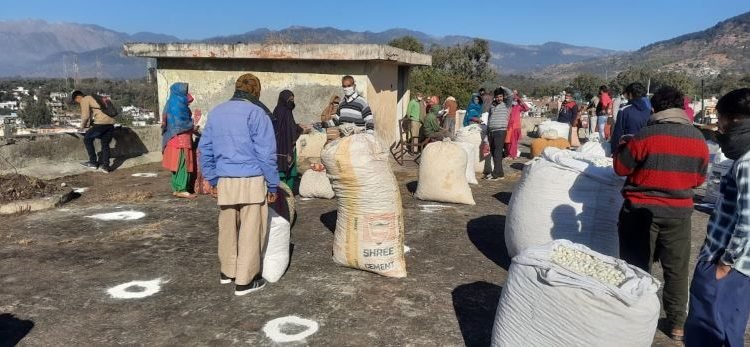 Cocoon rearing emerges main subsidiary occupation of women farmers in Udhampur district