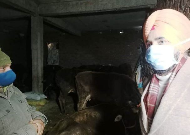 DC Reasi inspects dairy farms in Milk Village Jerri