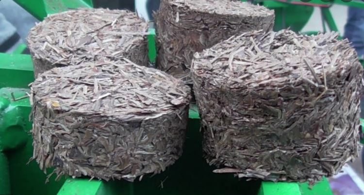 Nowshera Forest Division installs Chir Pine Briquette making machine at Bhajwal