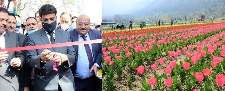 Chief Secretary throws open Tulip garden to public; Inaugurates E-ticketing