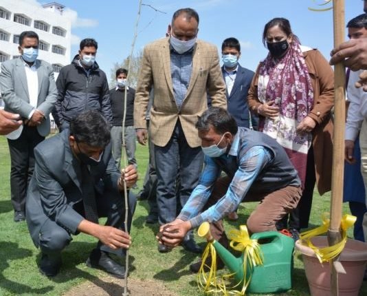Chief Secretary plant Chinar saplings at Civil Secretariat