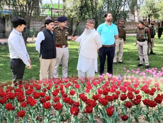 Blooming Tulips welcome visitors at Krishan Chander Park Poonch