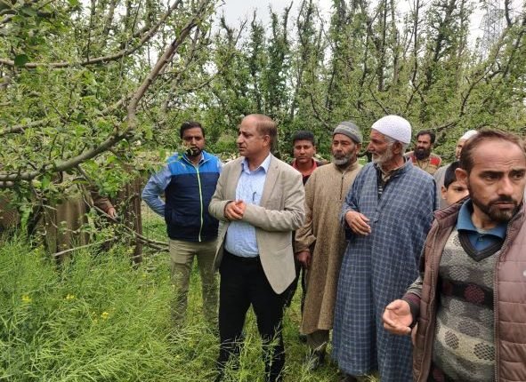 DG Horticulture visits Baramulla, takes stock of damage to orchards by hailstorm