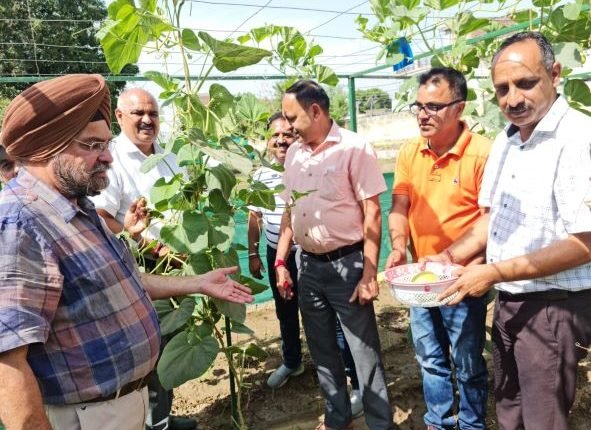 First harvest of Bottle gourd, Bitter gourd begins at Krishi Bhawan Jammu