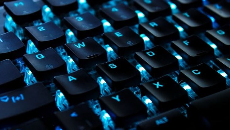 The Digital Boldness That Flows From the Keyboard