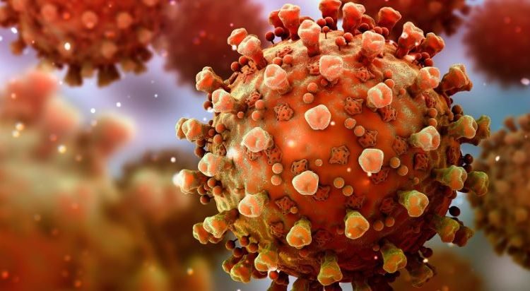 Data from INSACOG Reveals Alarming Surge: COVID-19 Sub-Variant JN.1 Surpasses 1,000 Cases, Karnataka Reports Highest Count