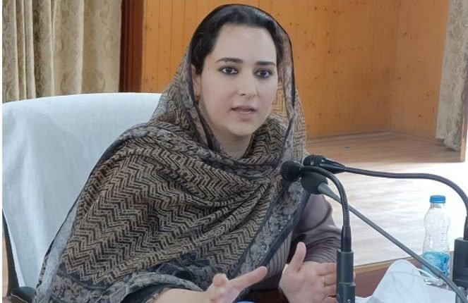 DC B'la reviews progress under District Capex, Languishing Programme, ADP & other Major Projects