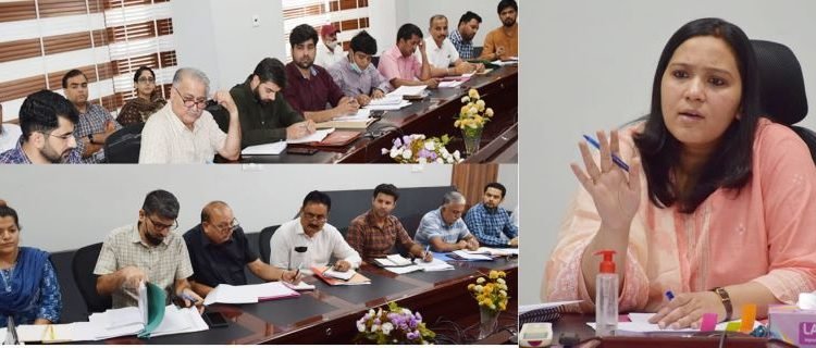 DC reviews progress achieved in estimation of RDD works under District plan