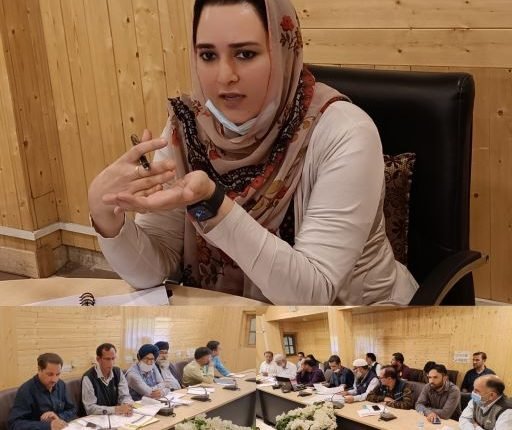DDC Bla Dr. Syed Sehrish Asgar reviews progress of Jal Shakti Department
