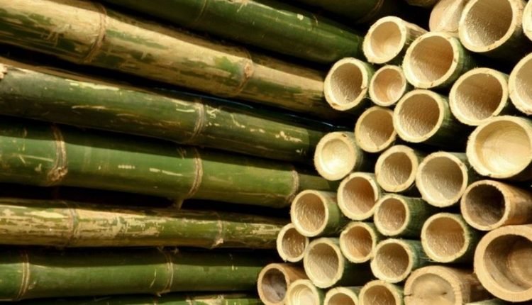 National Bamboo Mission: Rs 10 crore Annual Action Plan-2022-23 proposed for J&K