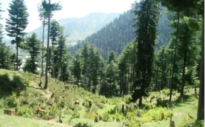 Progressing J&K:TVDP to mobilize socio-economic landscape across J&K