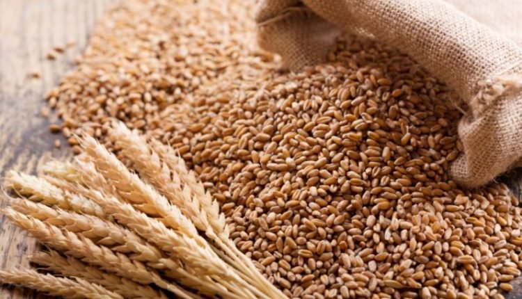 Govt announces relaxation on wheat export ban; allows export of consignments registered prior to May 13
