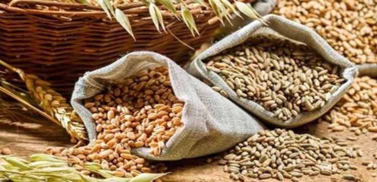India bans wheat exports with immediate effect