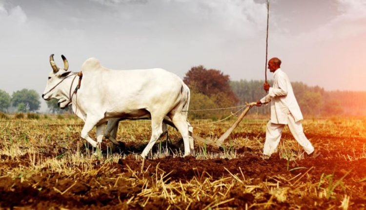 J&K Govts’ farmer centric reforms empower community socially, economically