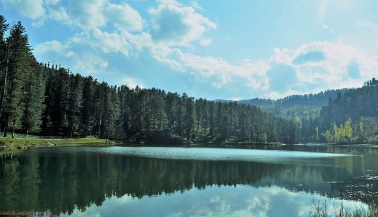 Reverse the Environmental Degradation