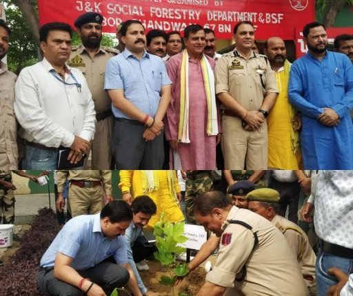 73rd Van Mahotsava : Plantation Drive  held at Border post Chandwan,  Kathua  