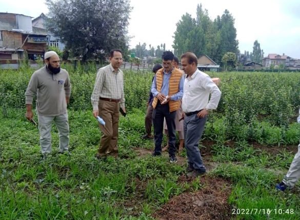 Director Horticulture Kashmir tours various areas of Budgam